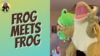 Freddy meets Cottage Frog | Gramma’s Puppets