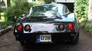 Most relaxing sound for men - Old-School American V8 Corvette C3 1979 (Stingray)