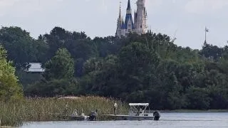 Did Disney do enough to warn about alligators?