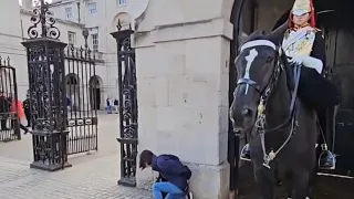 King's Horse SHOVES tourist to the ground!