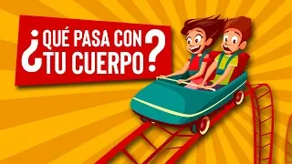 Que le pasa a tu cuerpo en una montaña rusa?