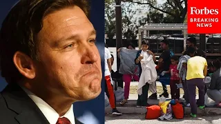 DeSantis: 'Nobody Has A Right To Immigrate To This Country'