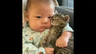 Cats meeting babies for the FIRST TIME ( New - 2021) Compilation I AwwPets