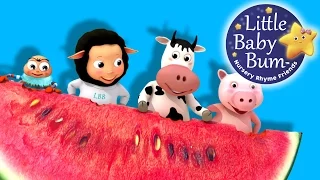 Down By The Bay | Nursery Rhymes for Babies by LittleBabyBum - ABCs and 123s