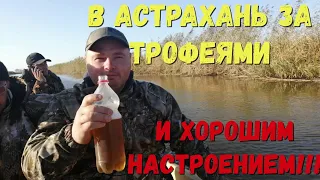 ПРОСТО БОМБИЧЕСКИЙ ОТДЫХ!!!В АСТРАХАНЬ ЗА ТРОФЕЙНОЙ РЫБОЙ!!!ВЕСЬ ГОД ЖДУ ЭТУ ПОЕЗДКУ!!!