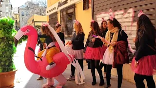 A PINK FLAMINGO feeding on BUSHMANS in Granada. AWESOME !