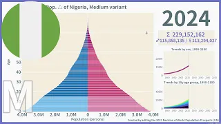 [🇳🇬Nigeria] Population Pyramid (1950-2100) / WPP2022 Medium