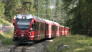 Rhätische Bahn - Die Bernina Bahn mit ABe 8/12 Allegra Triebwagen zwischen Tirano und St. Moritz