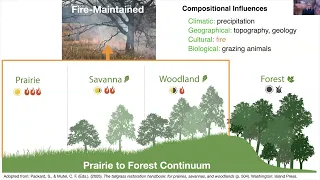 Oaks, fire, and climate change