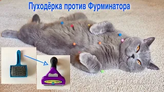 Фурминатор VS пуходёрка для Британского кота / BRITISH CAT