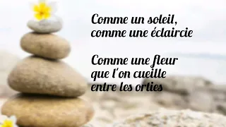 Comme un soleil - Nana Mouskouri (Paroles/Lyrics)