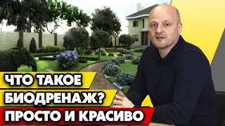 КОНЕЦ болоту на участке! / Биодренаж. Как осушить участок от грунтовых вод?