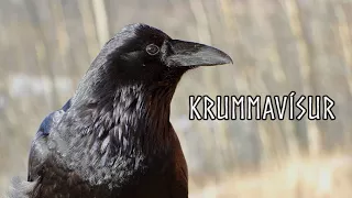 Krummavísur - Icelandic Folk song from 1861