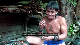 Borneo Death Blow   full documentary mp4