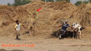 😂Funniest Bushman Prank in Village | Try Not To laugh | Fail Prank Video😁