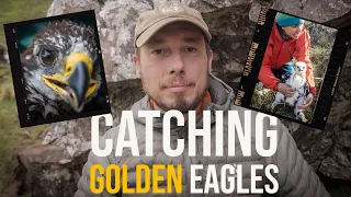 Catching golden eagles - The south of Scotland golden eagle project, part 1