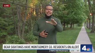 Bear Sightings Have Montgomery Co. Residents on Alert | NBC4 Washington