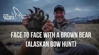 Brown Bear Hunting with a BOW