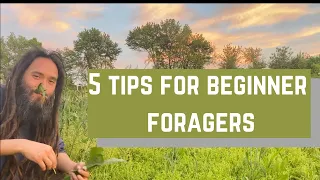 Top 5 tips for beginner foragers