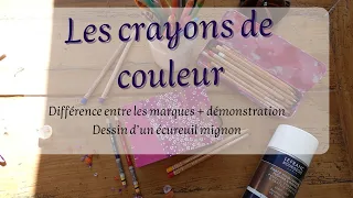 Crayons de couleurs - Différence entre polychromos et luminance - Démo croquis rapide écureuil mimi