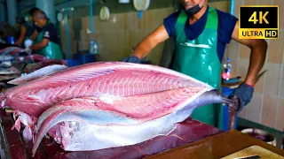 Maldives Food 🇲🇻- Cutting Monster size Tuna (2022)
