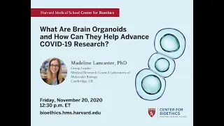 What Are Brain Organoids and How Can They Help Advance COVID-19 Research?