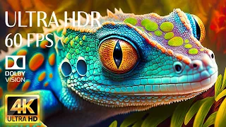 4K HDR 60fps Dolby Vision with Animal Sounds & Calming Music (Colorful Dynamic)