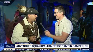 Adventure Aquarium opens pirate themed exhibit