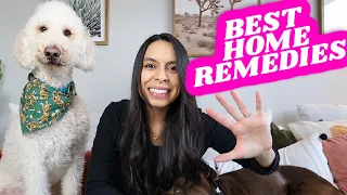 TOP 5 Ways To STOP Dog's Itchy Skin Naturally 🐶 Home Remedies that actually work!