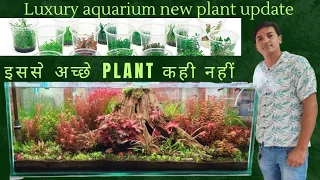 #luxury aquarium new tissue culture aquarium plant update