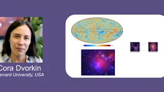 Unveiling the Nature of Dark Matter with Cosmological Observables | Cora Dvorkin