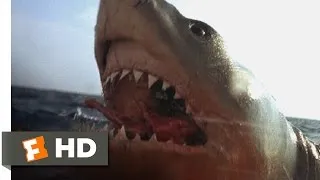 Jaws: The Revenge (3/8) Movie CLIP - You Got 'Im (1987) HD