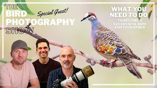 Become a Successful Bird Photographer! | What you NEED to DO & How We Got Started!