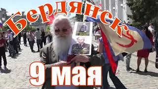 Бердянск 9 Мая, Бессмертный полк