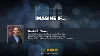 Healing Damaged Neural Circuits with Psychedelics - David E  Olson