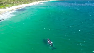 Kogel / Koeel Bay 2 Whales | Cape Town