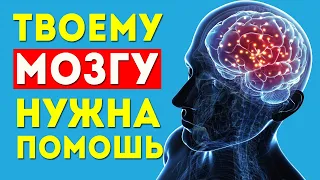 Что приносит ВРЕД МОЗГУ. Эти 4 вещи ненавидит ваш мозг. Что делать для здоровья мозга.