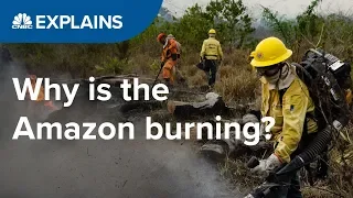 Why is the Amazon burning? | CNBC Explains