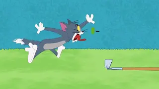 Tom And Jerry Show Donut Crazy