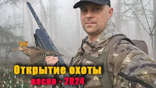 Открытие охоты-2024! Вальдшнепы. Королевский выстрел + нарезка лучших моментов  #мр155 #ата #охота