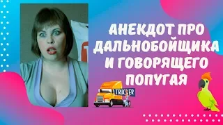 Анекдот про дальнобойщика и говорящего попугая