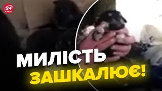 😍ОЦЕ ТАК! ЗСУ показали НАЙМИЛІШИЙ особовий склад