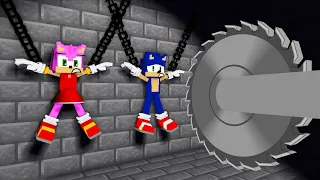 Sonic And Amy  - The Wheel of Fortune Sad Ending - FNF Minecraft Animation