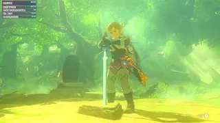 The Sword's True Strength | Legend of Zelda: Breath of The Wild [Nintendo Switch]