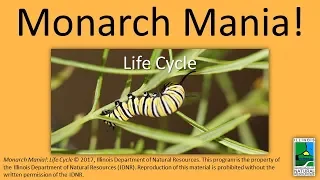Monarch Mania! Life Cycle (CC Available)