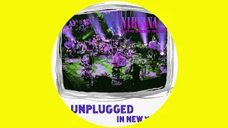 Nirvana - Lake of Fire(MTV Unplugged) - Guitar Backing Tracks