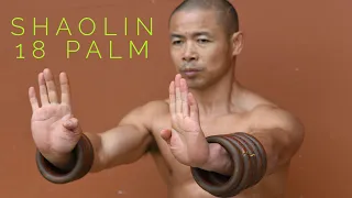 Shaolin 18 Palm