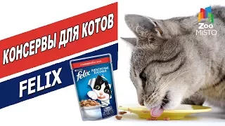 Корм для кошек Пурина Феликс | Обзор корма для кошек | Purina Felix cats food review