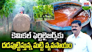 మట్టి వ్యవసాయంతో కెమికల్స్‌కి గుడ్‌బై | Soil  Farming Natural Farming  Goodbye  Chemicals - ABN Agri