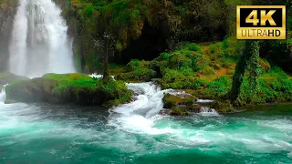 Nature Sounds 4K 🌿 Relaxing River Sounds, Beautiful Forest Sound, Peaceful Birds Chirping, Natural